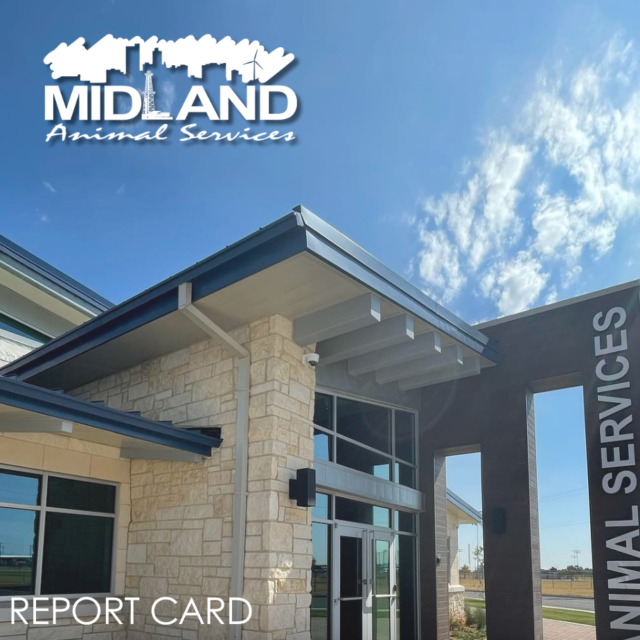 Animal Services Report Carousel