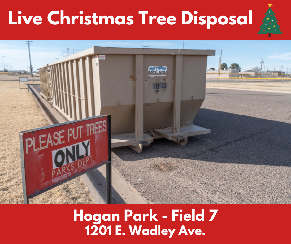 Live Christmas Tree Disposal 2022