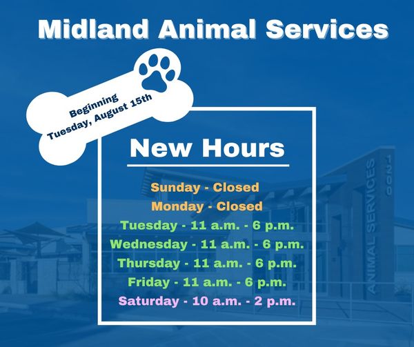 animal services 080723