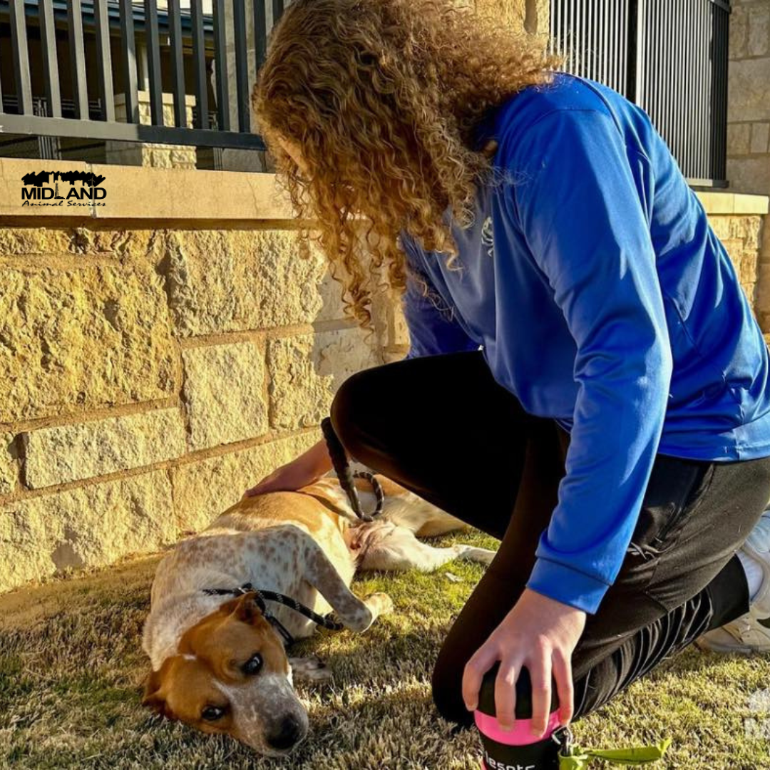 rescue runners for  web 3-25