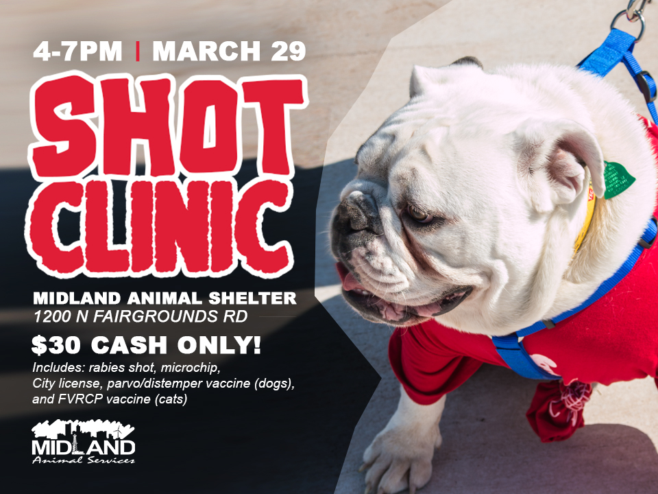 Shot Clinic