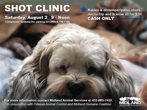 Shot Clinic Dog